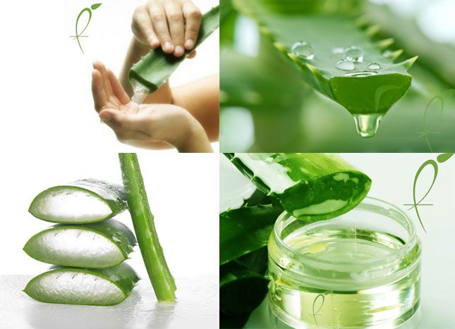Aloe Vera Gel for Hair Growth