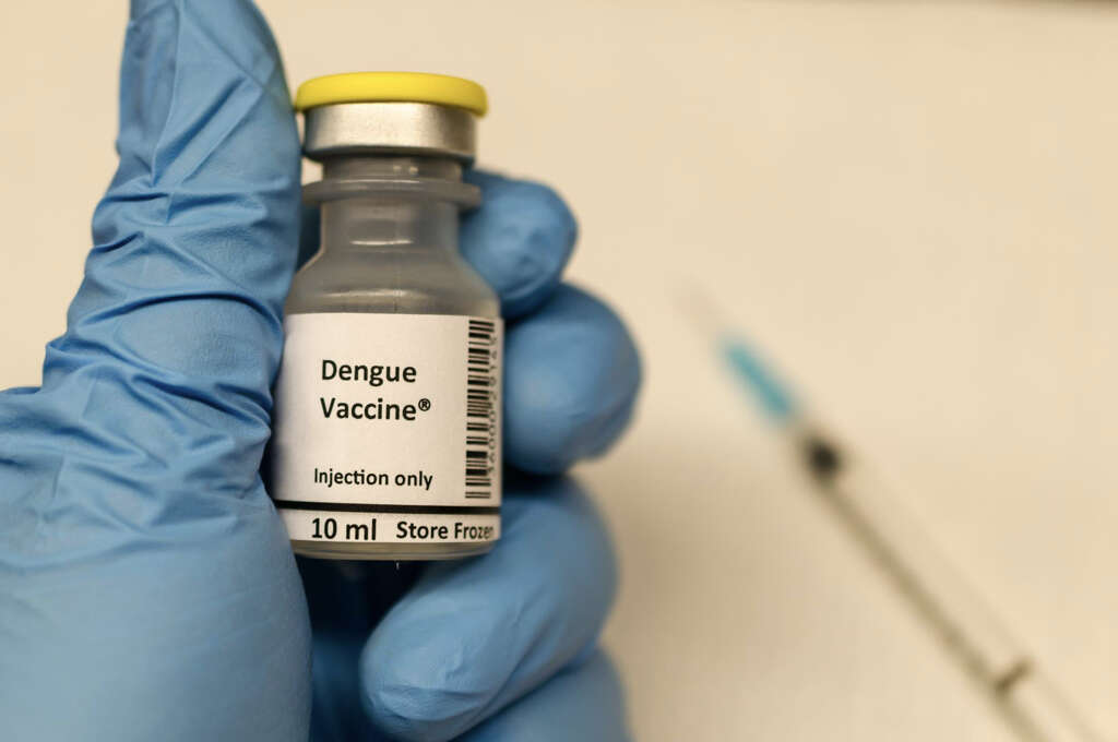 What Is Dengue Fever?